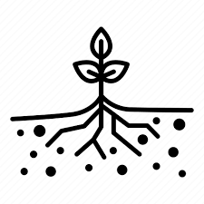 Continuous Learning & Certifications icon